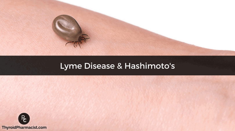 Lyme Disease & Hashimoto's