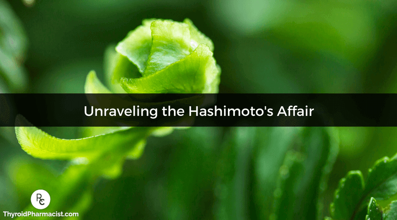 Unraveling the Hashimoto's Affair