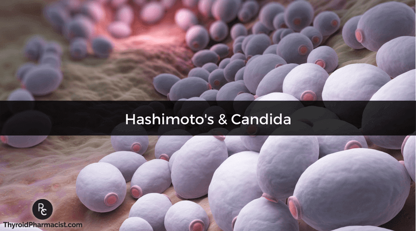 Hashimoto's & Candida