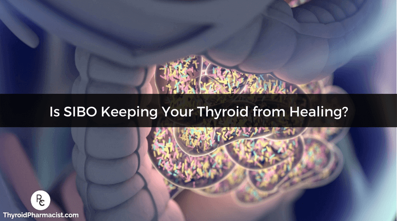 Find out if SIBO is keeping your thyroid & Hashimoto's from healing