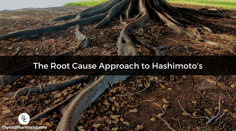 Root Cause Approach to Hashimoto's