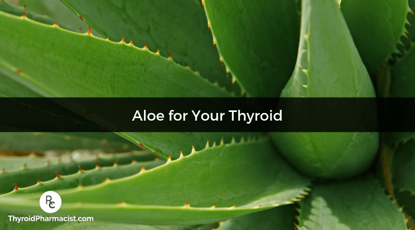 Aloe for Thyroid Health