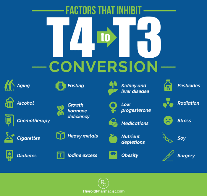 Factors that Inhibit T4 to T3 Conversion