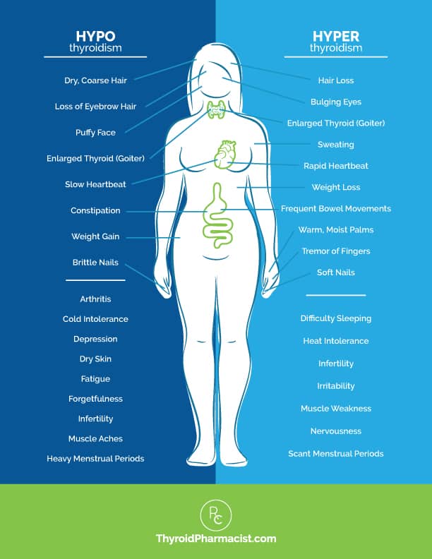 Hypo and Hyperthyroidism Symptoms