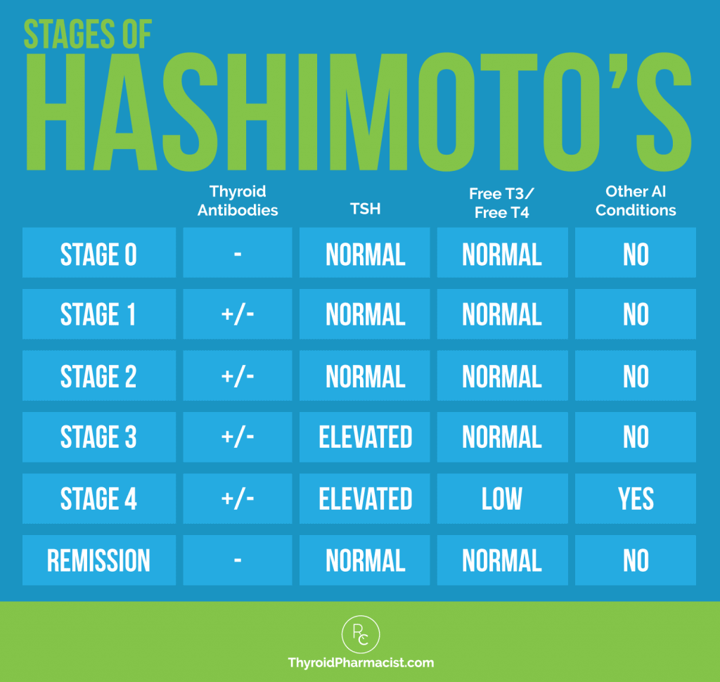 Stages of Hashimoto's Infographic