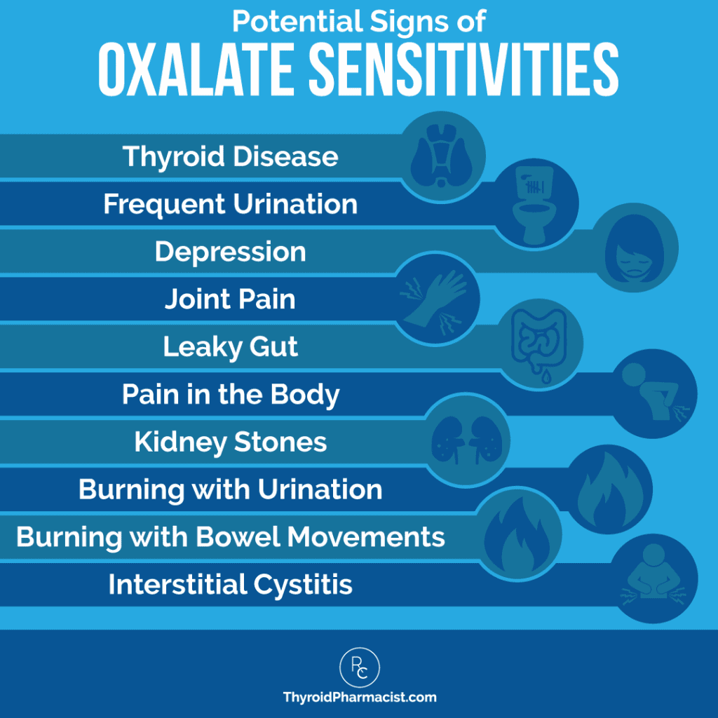 Potential Signs of Oxalate Sensitivities Infographic