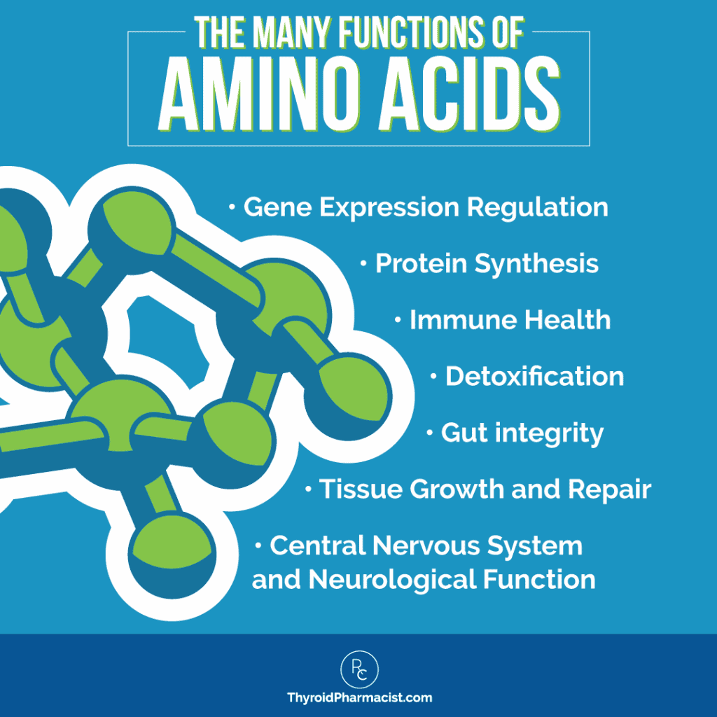 The Many Functions of Amino Acids Infographic