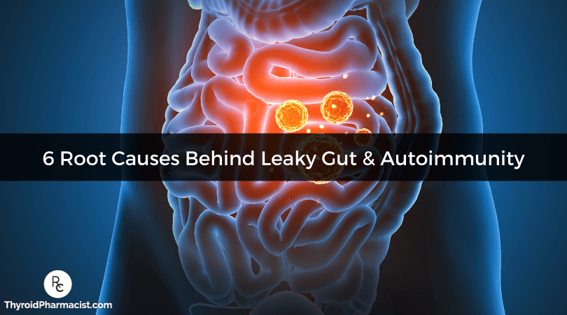 6 Root Causes Behind Leaky Gut and Autoimmunity