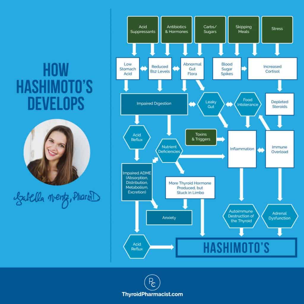 How Hashimoto's Develops Infographic