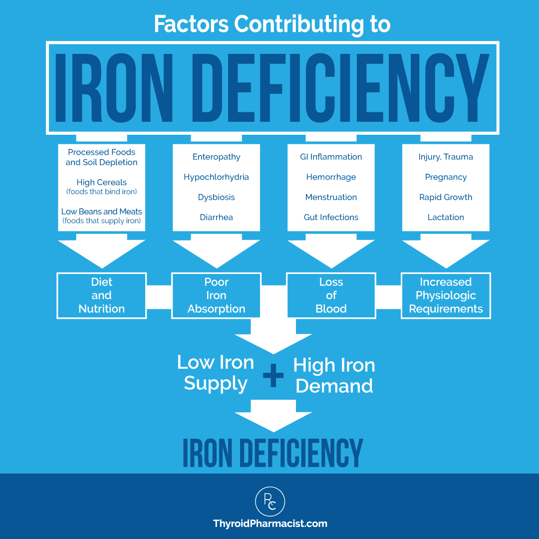 Factors Contributing to Iron Deficiency